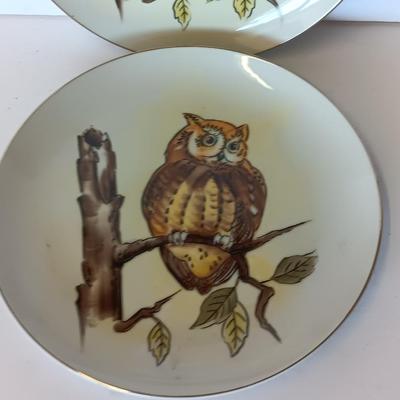 Two Norcrest marked 8" Collectible Owl plates