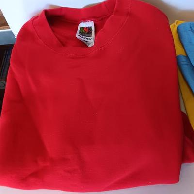 Three brand new!  colorful unisex Anvil pre-shrunk Size Medium T-shirts and a Red Sweatshirt