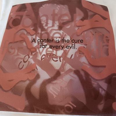 Two NEW Horse Lover's t-shirts " A canter is the cure..." & "God forbid a heaven without horses." Size Large