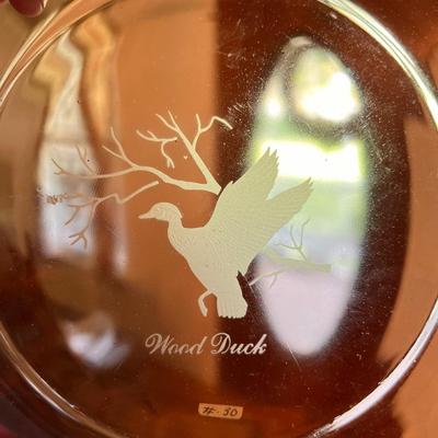 French Glass Plates Bowls - Arcoroc & Duralex