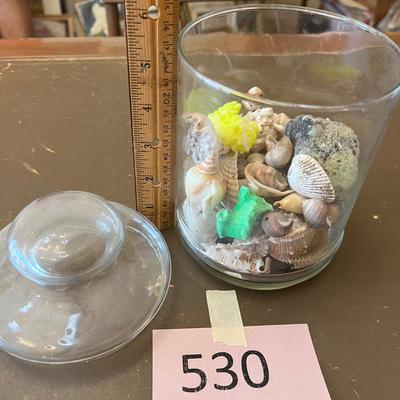 Jar sea shells