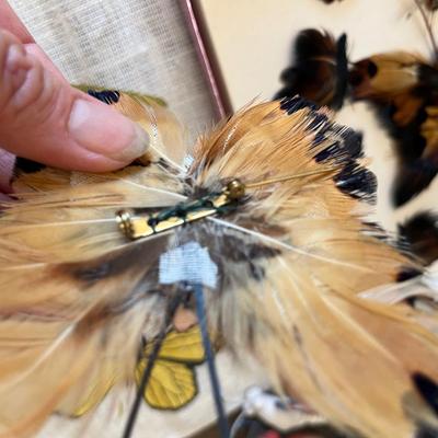 Butterfly decor