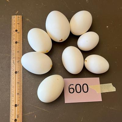 Real blown eggs!