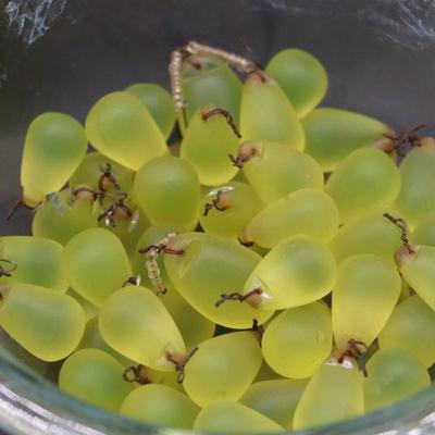 Lot of 4 Antique Green Glass Grape Beads Bulb Covers Attributed to Czechoslovakia
