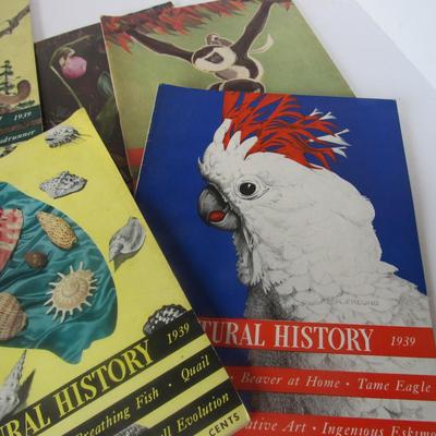 Lot 521:  Lot of Older Natural History Magazines
