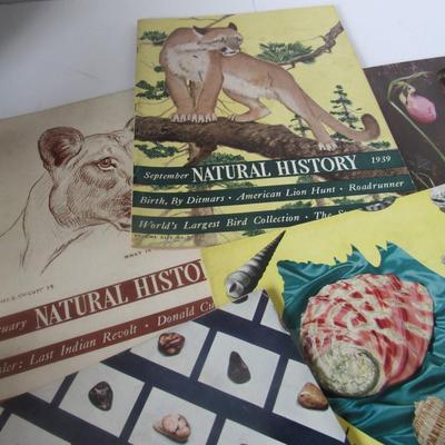 Lot 521:  Lot of Older Natural History Magazines