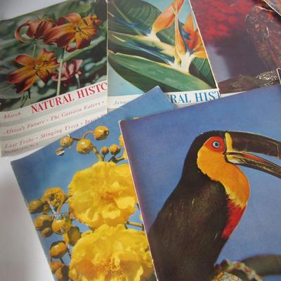 Lot 523:  Lot of Vintage Natural History Magazines