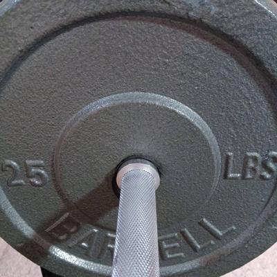 Weight Bench and Barbell