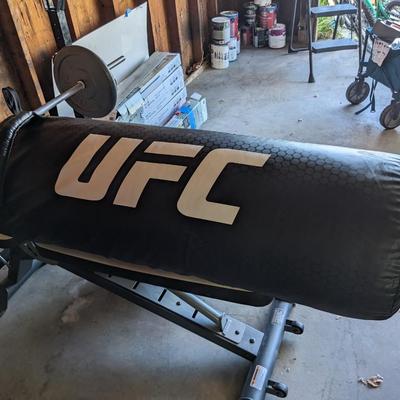UFC Punching Bag