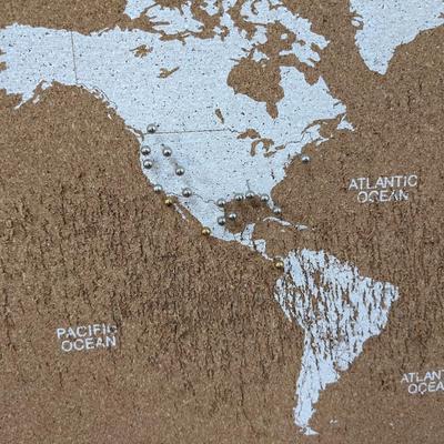 World Map Cork Board