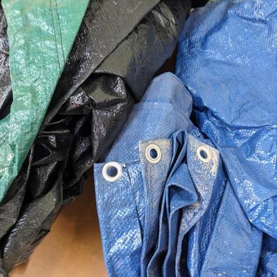 Tarps 