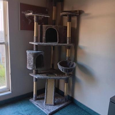 Cat Apartment