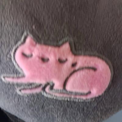 Cat Toys