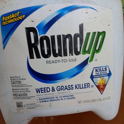 RoundUp Pump