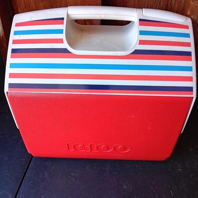 Igloo Cooler