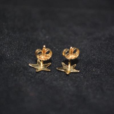 14k Star Earrings with 14k Backs 0.8g