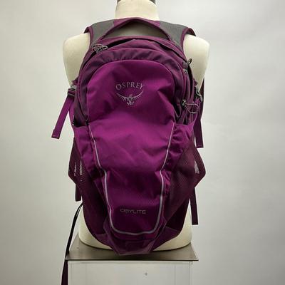 1542 Osprey "Traveler" Backpack