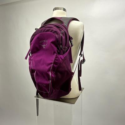 1542 Osprey "Traveler" Backpack