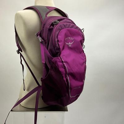 1542 Osprey "Traveler" Backpack