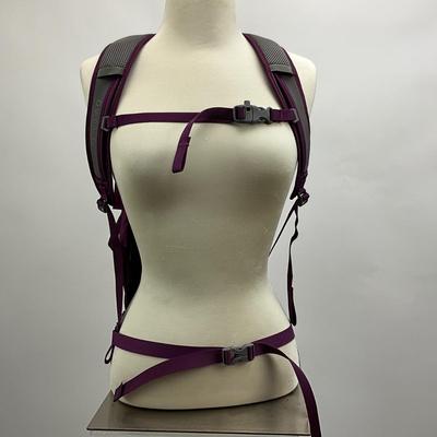 1542 Osprey "Traveler" Backpack