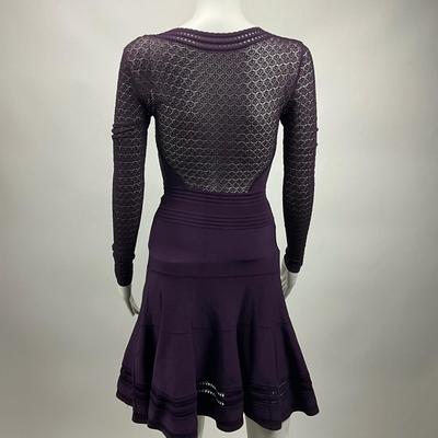 1553 Daine Von Furstenberg Fit & Flare Dress Aubergine