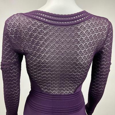 1553 Daine Von Furstenberg Fit & Flare Dress Aubergine