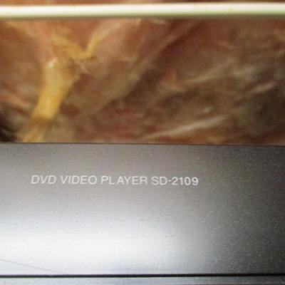 Toshiba DVD Video Player SD-2109 and Wizard Go.Video