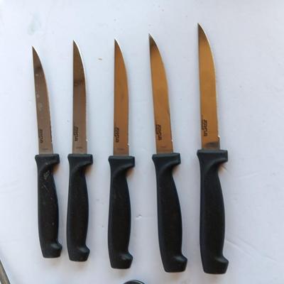 Variety of Kitchen Knives with Knife sharpener