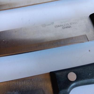 Variety of Kitchen Knives with Knife sharpener