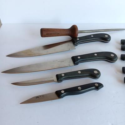 Variety of Kitchen Knives with Knife sharpener