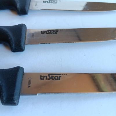 Variety of Kitchen Knives with Knife sharpener