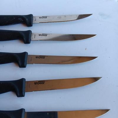 Variety of Kitchen Knives with Knife sharpener