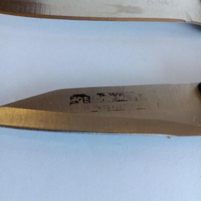 Variety of Kitchen Knives with Knife sharpener