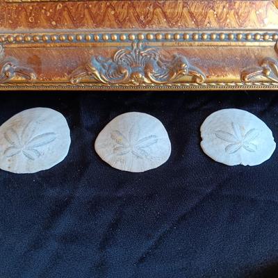 Gold decorative framed wall mirror with wall shelf and Sand dollars