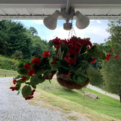 Faux Plant Collection (FP-HS)