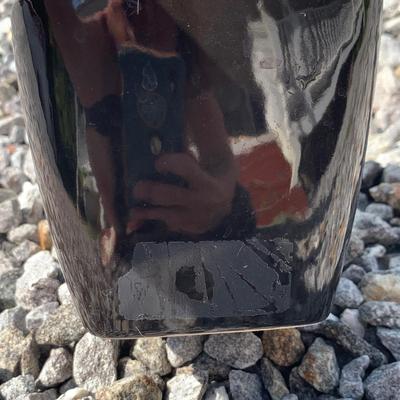 3.5 Ft. Tall Money Tree (FP-HS)