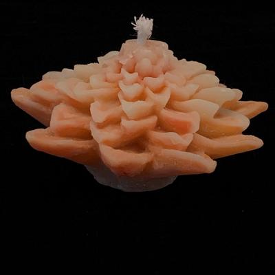 Moroccan Style Lanterns & Decor (DR-HS)