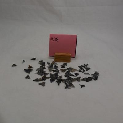 Lot of Sharks Teeth, 2 Ounces