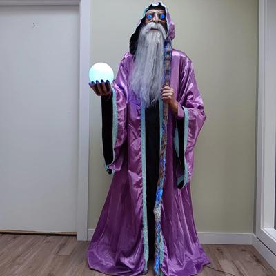 6 ft Animated Illuminated Wizard Halloween Animatronic