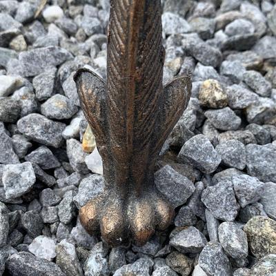 Animal Print Decor & More (S-HS)