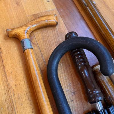 Mixed Lot of Canes