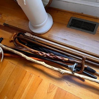 Mixed Lot of Canes