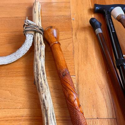 Mixed Lot of Canes