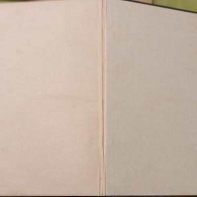 Antique *Die Bibel -Heilige Schrift* Stuttgart