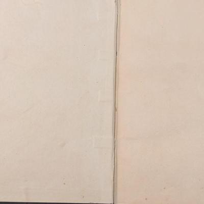 Antique *Die Bibel -Heilige Schrift* Stuttgart