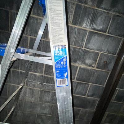 Hand Truck & Werner Six Foot Ladder (S-MG)