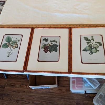 Set of 3 Vintage Plant Prints in Bamboo Frames