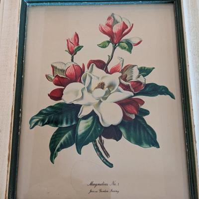 Set of 2 James Gordon Irving's Magnolias No 1 and 2