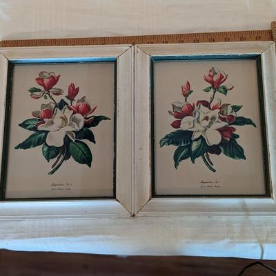 Set of 2 James Gordon Irving's Magnolias No 1 and 2