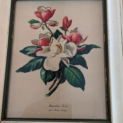 Set of 2 James Gordon Irving's Magnolias No 1 and 2